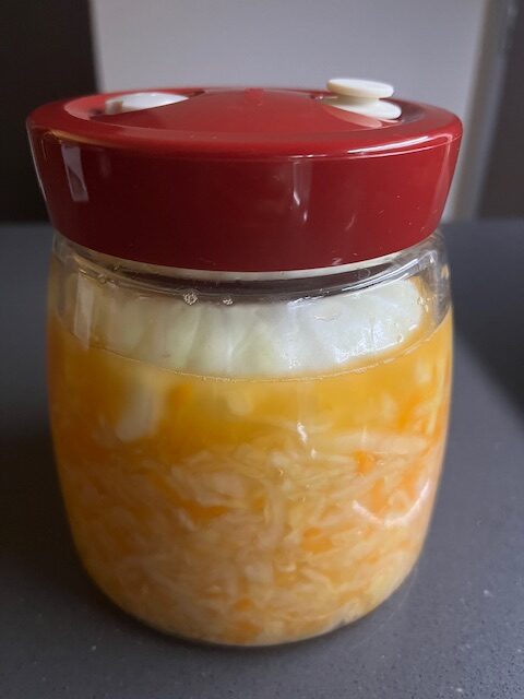 Fermented Foods - Sauerkraut