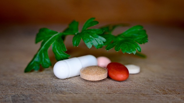 Supplement Bioavailability